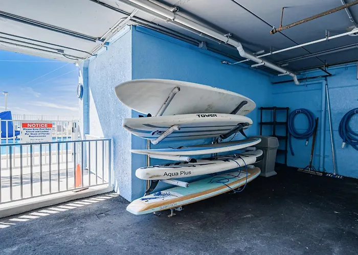 Dollar 310 * Clearwater Beach